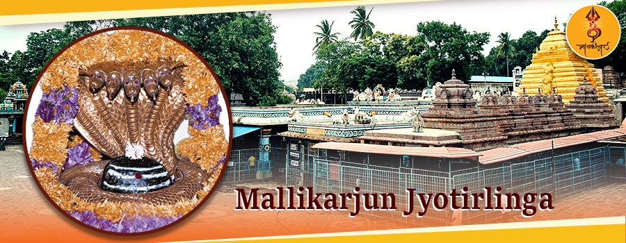 Mallikarjun Jyotirlinga of lord shiva