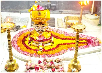 BENEFITS OF DOING TRIPINDI SHRADDHA